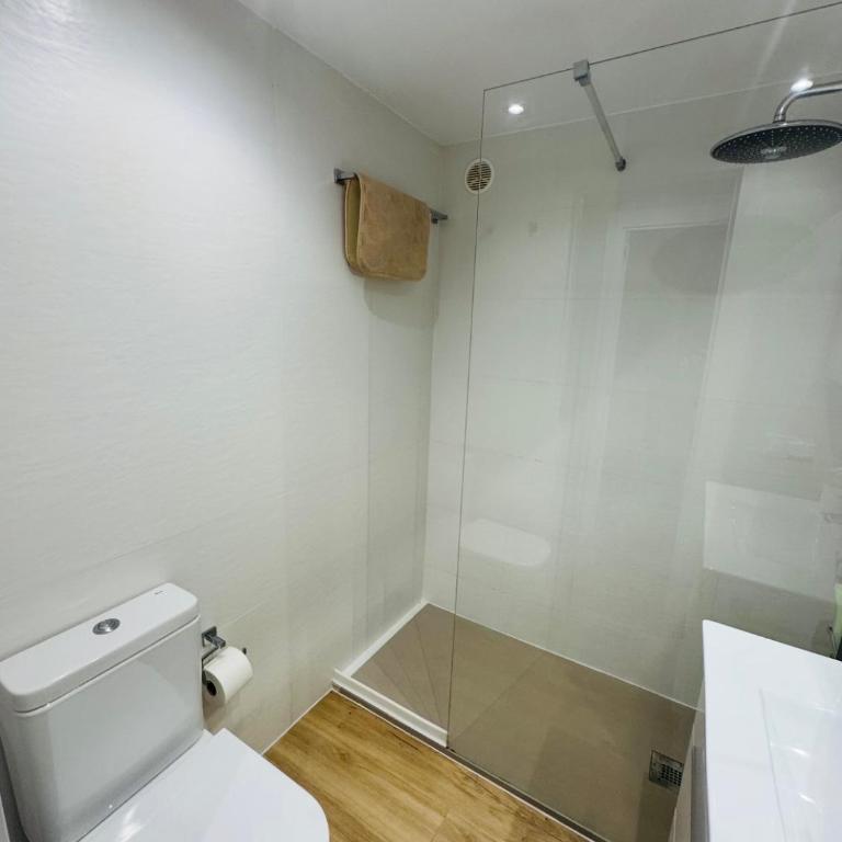 Lujoso piso enfrente de playa de Fenals, 2 terrazas - Apartamento de 1 dormitorio - 31