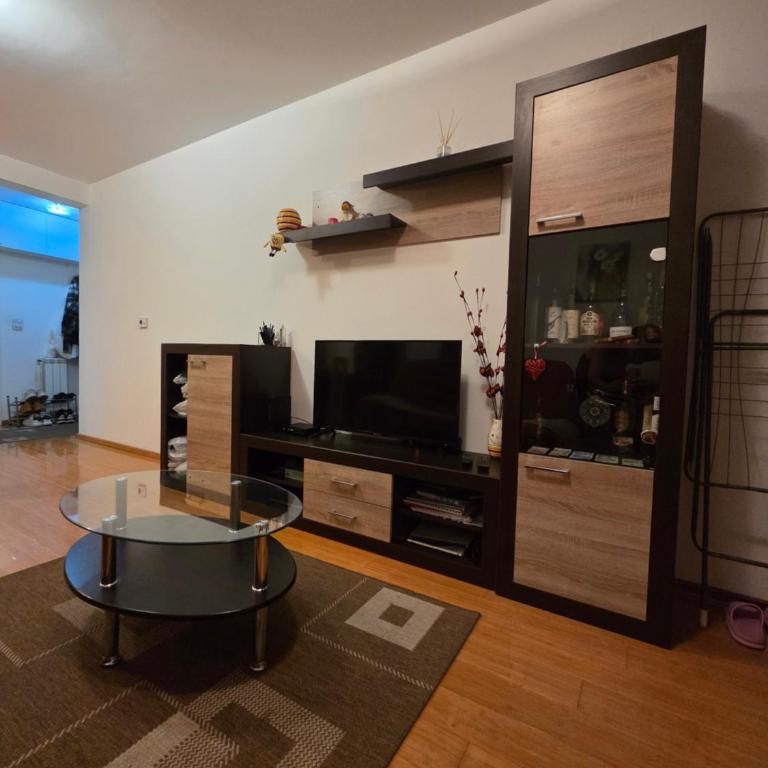 Voždovac centar - Apartman sa 1 Spavaćom Sobom - 3