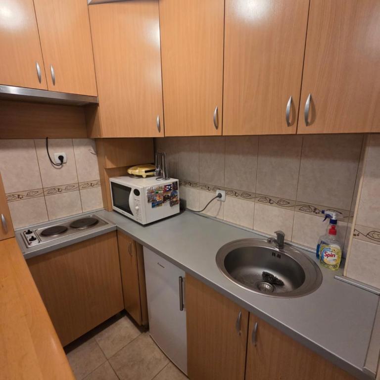 Voždovac centar - Apartman sa 1 Spavaćom Sobom - 13