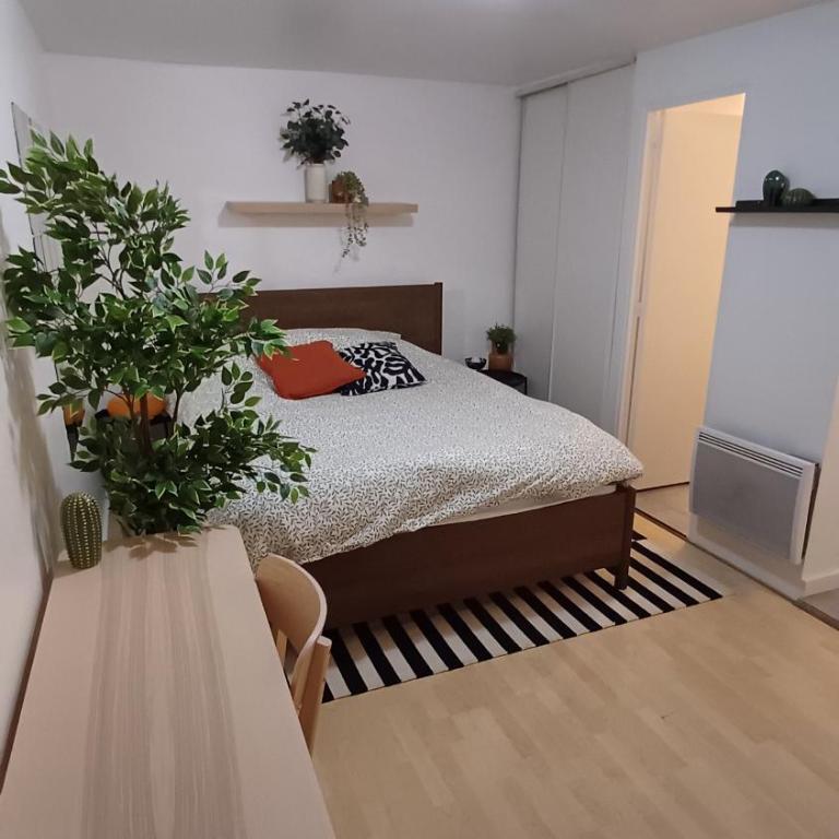 Studio dans le 17eme - Appartement - Rez-de-Chaussée - 3