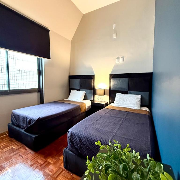 Roomies Suites - Zona Rosa - Twin Room with Shared Bathroom - 4