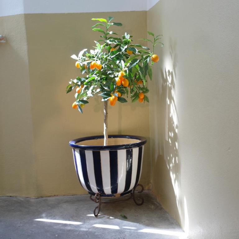 il 23 Holiday Home - Casa con 2 Camere da Letto - 43