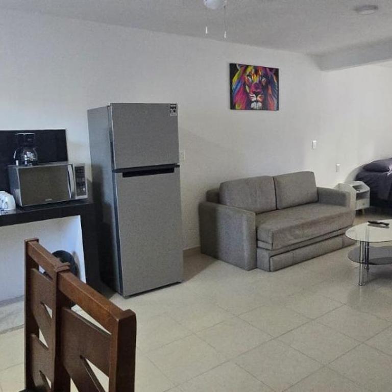 Estudios San José - Apartamento de 1 dormitorio - 13