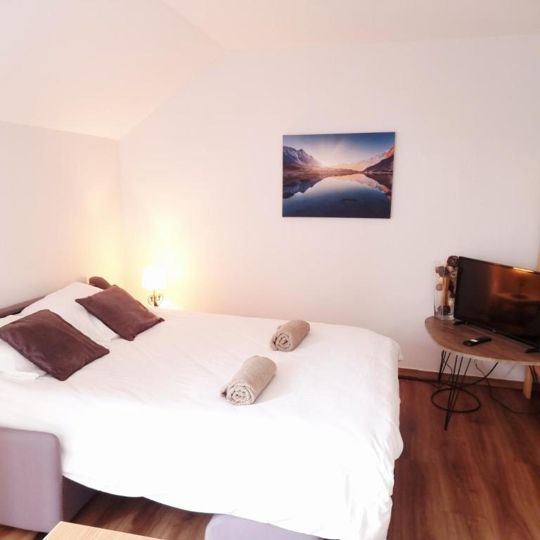 Studio Le Panoramic les Balcons d'Aix - Appartement 1 Chambre - 5