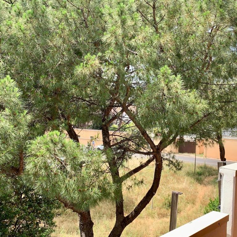 La vie en Rome - Cinecittà - Appartamento con 2 Camere da Letto - 9