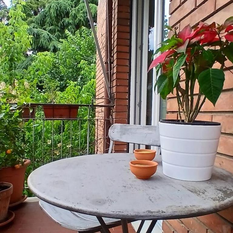 La casa di Mari - Three-Bedroom Apartment - 14