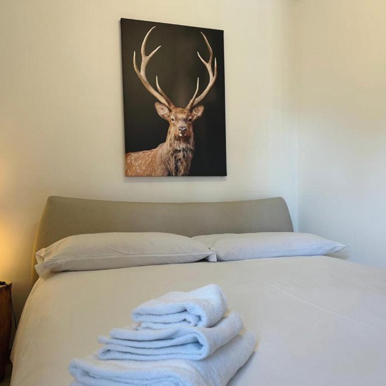 Casa Richardette Relax in the Woods - Appartamento con 2 Camere da Letto - 1