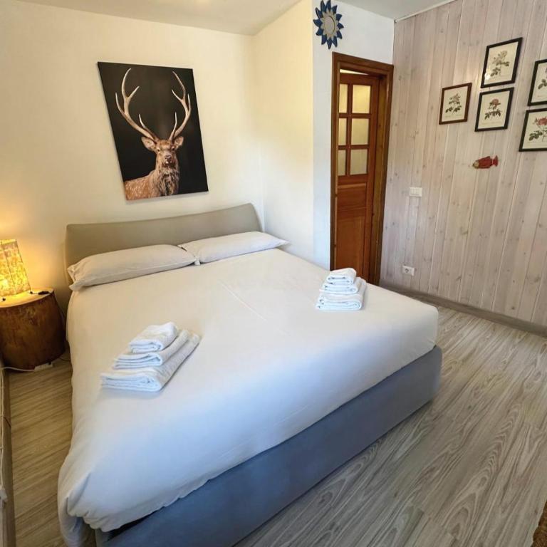 Casa Richardette Relax in the Woods - Appartamento con 2 Camere da Letto - 15