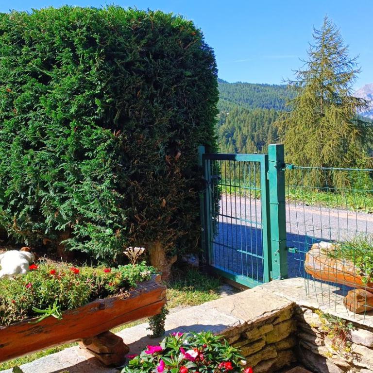 Casa Richardette Relax in the Woods - Appartamento con 2 Camere da Letto - 31