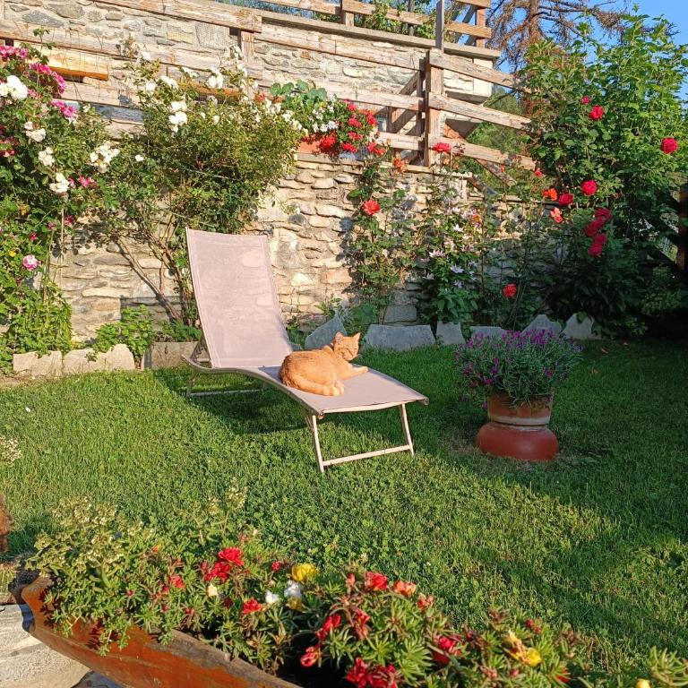 Casa Richardette Relax in the Woods - Appartamento con 2 Camere da Letto - 32