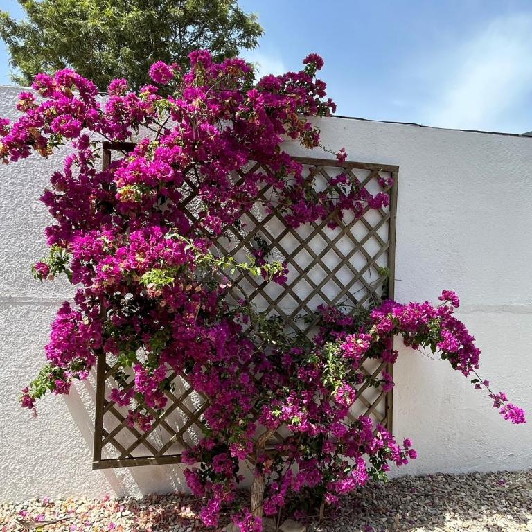 La Cabaña del Lago - Villa de 1 dormitorio - 9
