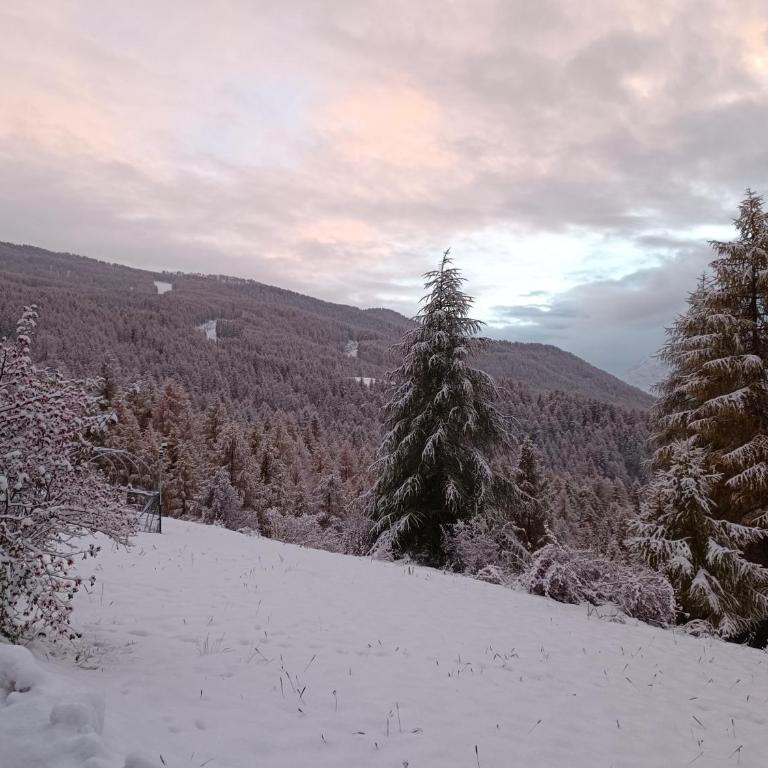 Casa Richardette Relax in the Woods - Appartamento con 2 Camere da Letto - 6