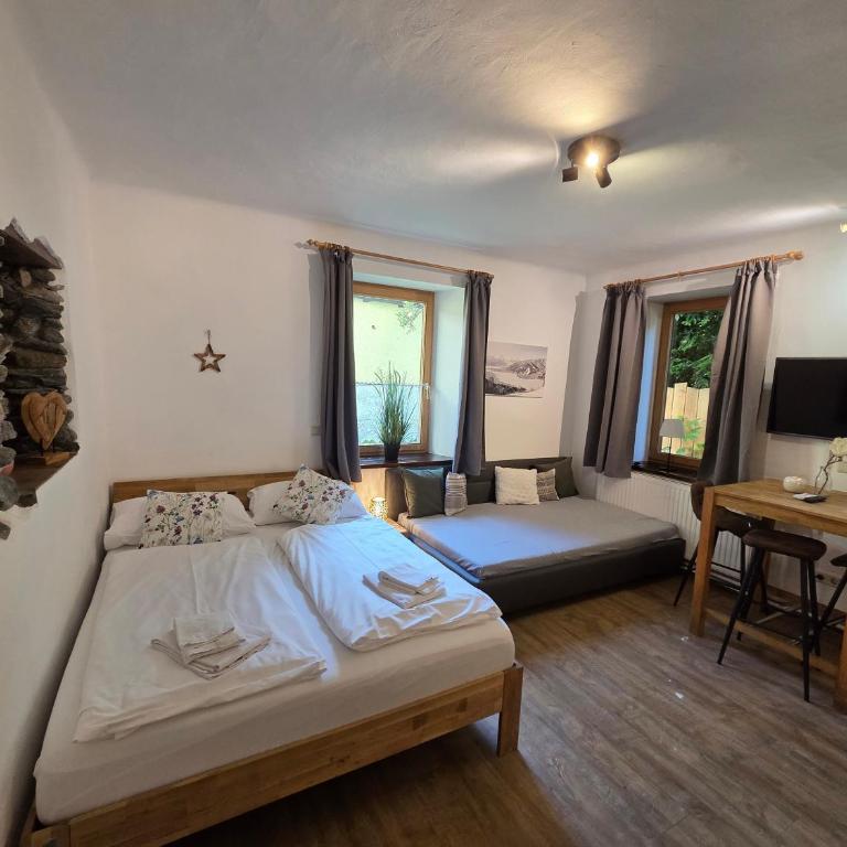 Ski-n-Lake City Apartments - Studio-Apartment - 6