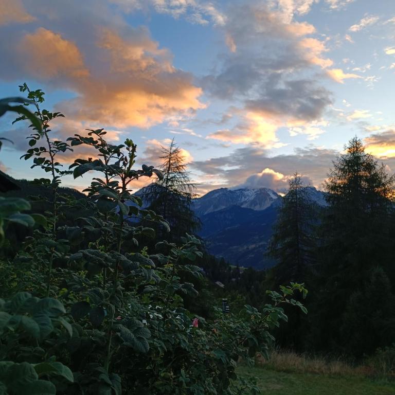 Casa Richardette Relax in the Woods - Appartamento con 2 Camere da Letto - 38