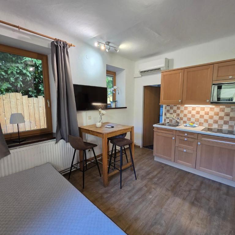 Ski-n-Lake City Apartments - Studio-Apartment - 2