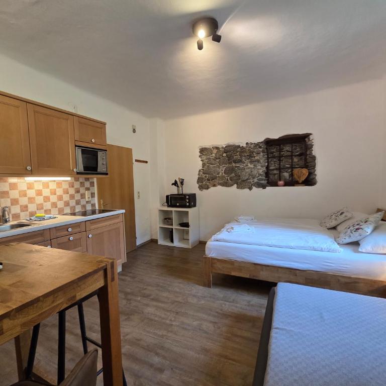 Ski-n-Lake City Apartments - Studio-Apartment - 3