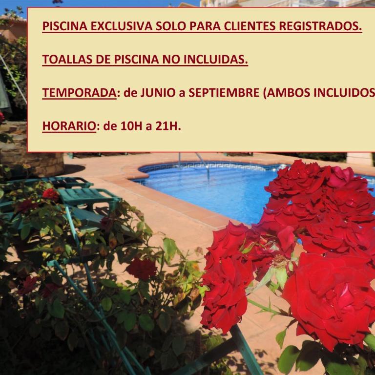 Caseria de Comares 201 - One-Bedroom Apartment - 11