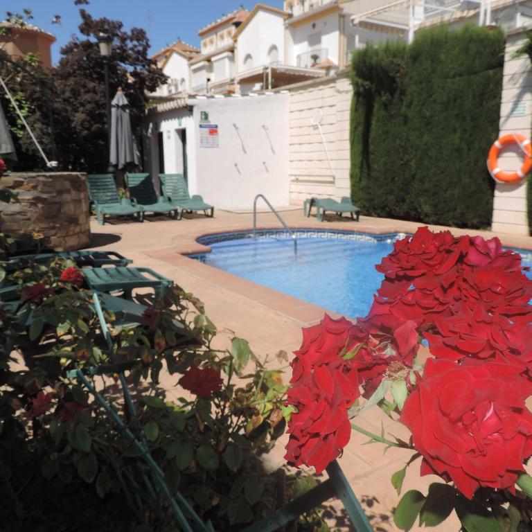 Caseria de Comares 201 - One-Bedroom Apartment - 22