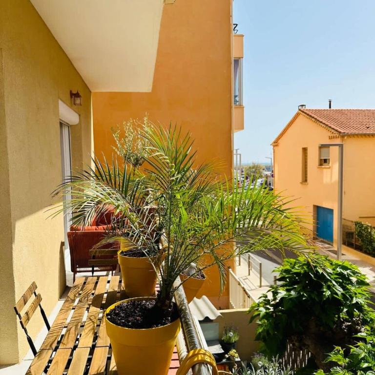 Valras-Loc L-Hippocampe, tout a pied - 2 chambres - Apartment - 13