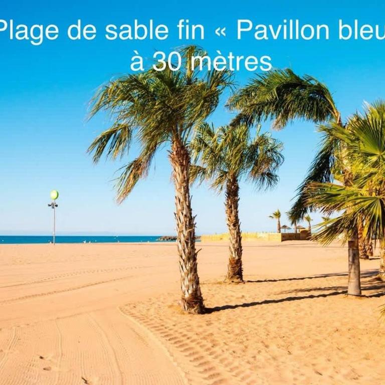 Valras-Loc L-Hippocampe, tout a pied - 2 chambres - Apartment - 14