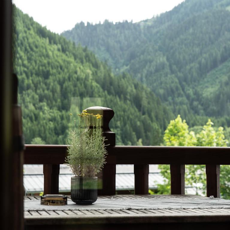 Gasthof Schöntal - Appartamento con Vista Montagna - 1