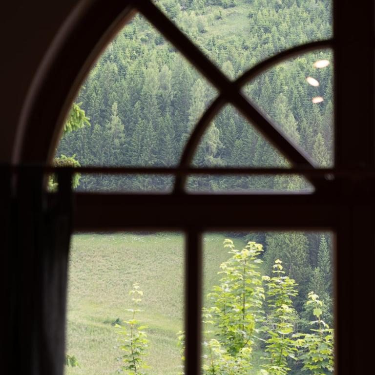 Gasthof Schöntal - Appartamento con Vista Montagna - 8