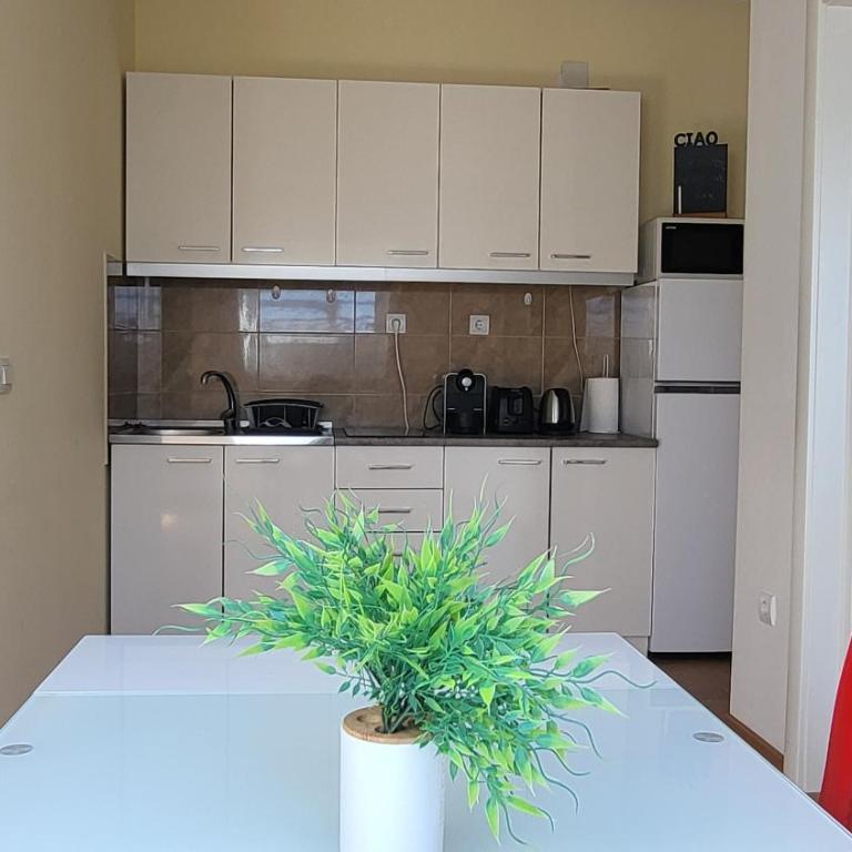 Central View Apartment - Apartman sa 1 Spavaćom Sobom - 8