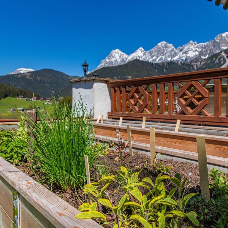 Landhaus Kirchgasser - Monolocale con Vista Montagna - 15