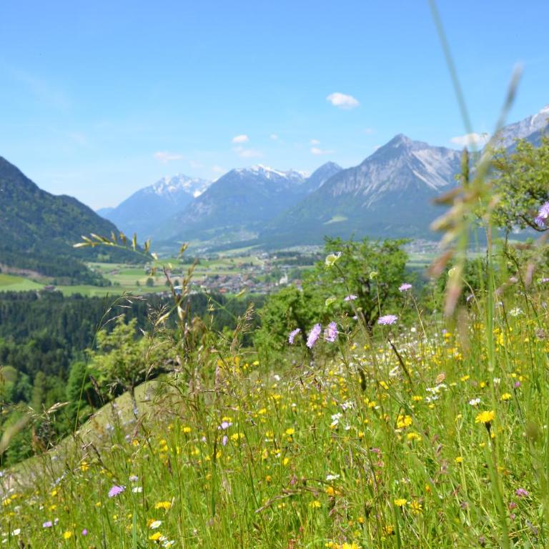 Hotel & Alpengasthof Pinzgerhof - Deluxe Familienzimmer - 1