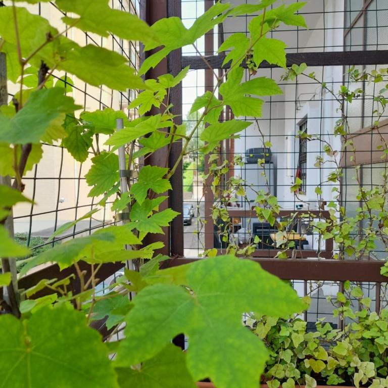 Appartamento Lora - Appartamento con 1 Camera da Letto - 45