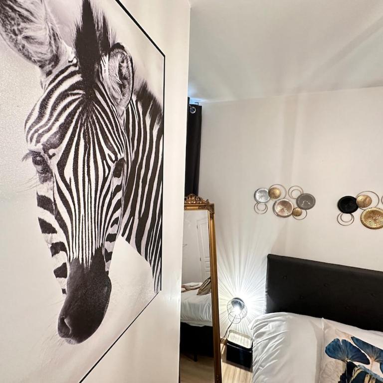 Le repère dAlice T2 cosy proche centre - Appartamento con 1 Camera da Letto - 2
