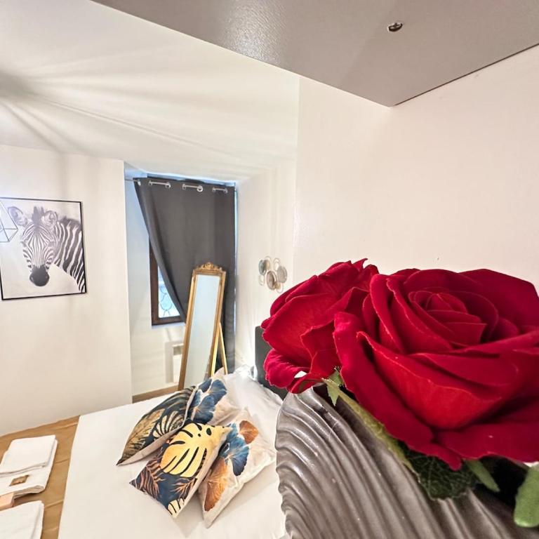 Le repère dAlice T2 cosy proche centre - Appartamento con 1 Camera da Letto - 19