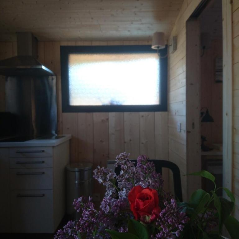 La Crapouillette - Appartement 2 Chambres - 10