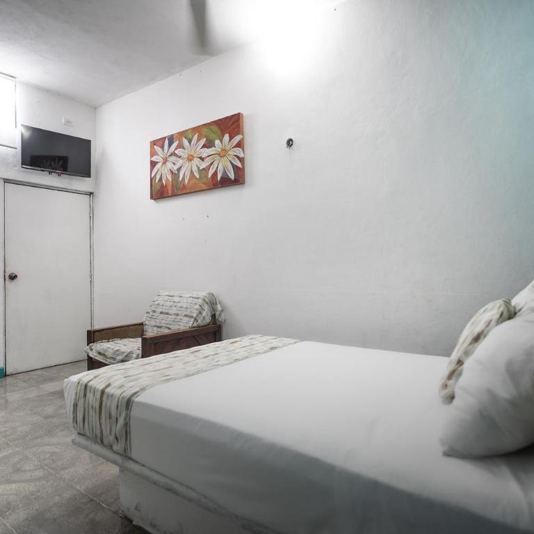 Hotel Posada Aurora - Standard Double Room - 4