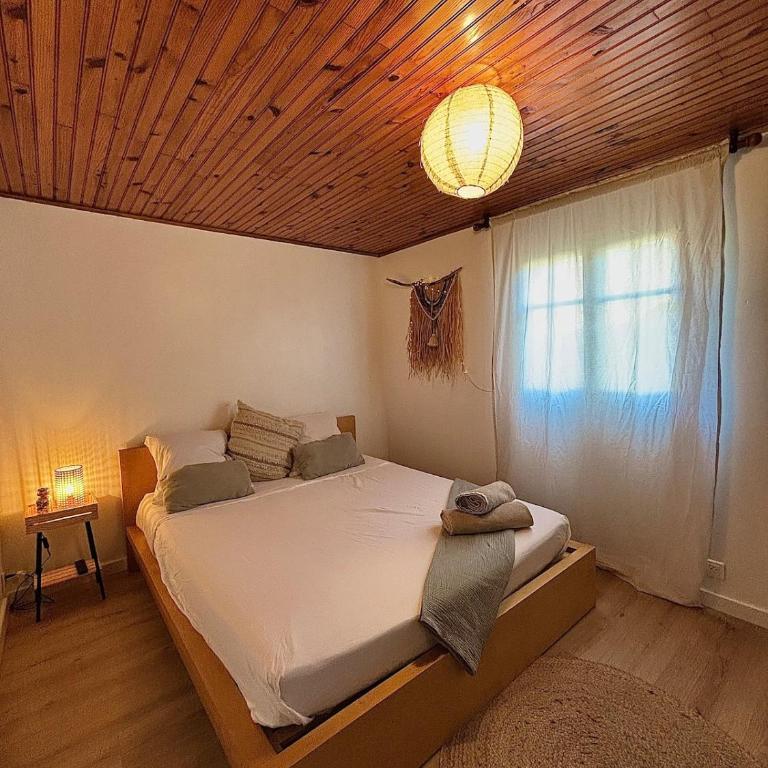 Studio Bougainvillier - Appartement 1 Chambre - 1