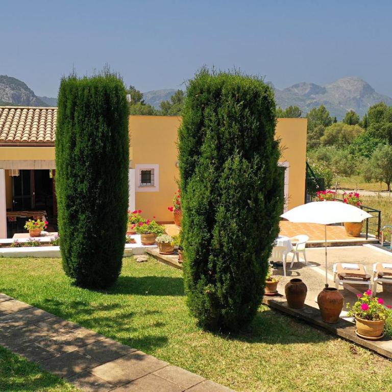Villa Tirana - Villa - 19