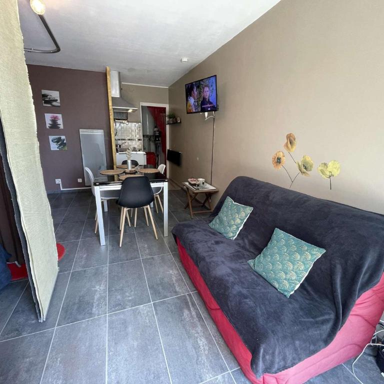 Studio confortable avec terrasse et parking à 300m de la plage - FR-1-224C-236 - Apartment - 4