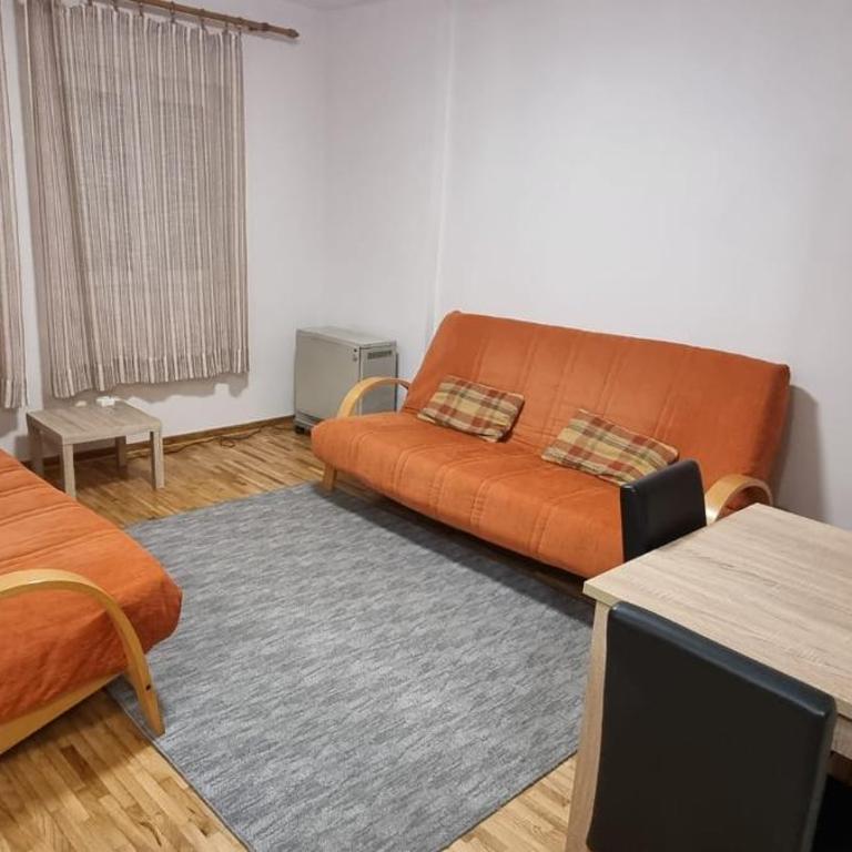 Apartman Vojvode Stepe M - Apartman sa 1 Spavaćom Sobom - 2