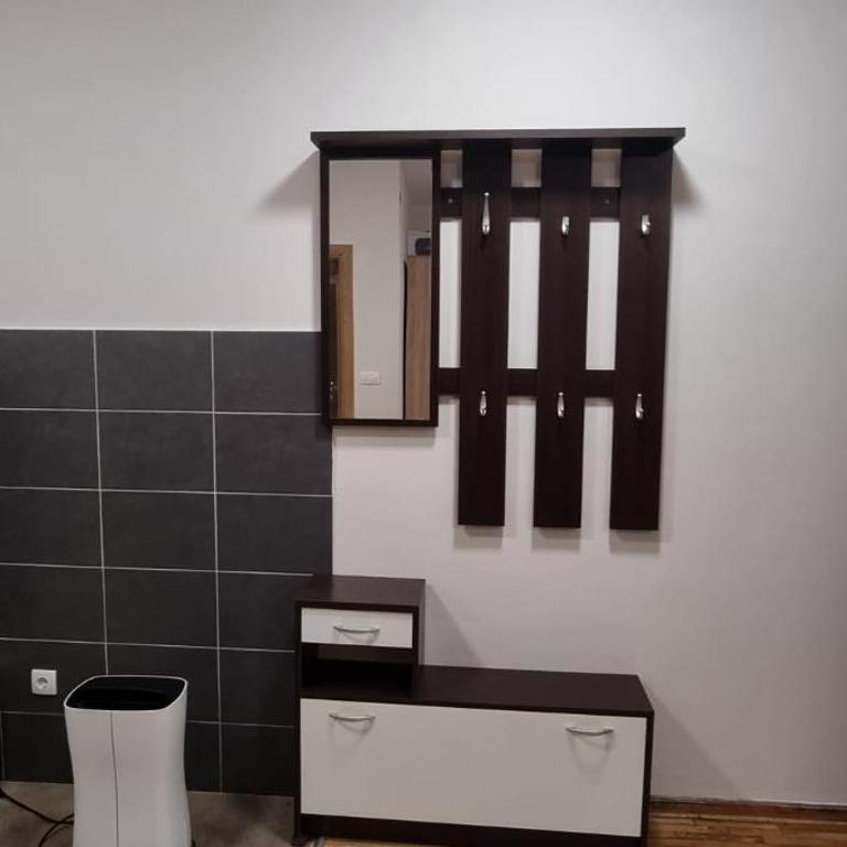 Apartman Vojvode Stepe M - Apartman sa 1 Spavaćom Sobom - 3