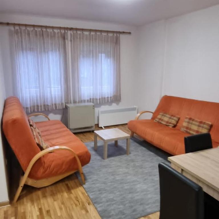 Apartman Vojvode Stepe M - Apartman sa 1 Spavaćom Sobom - 4