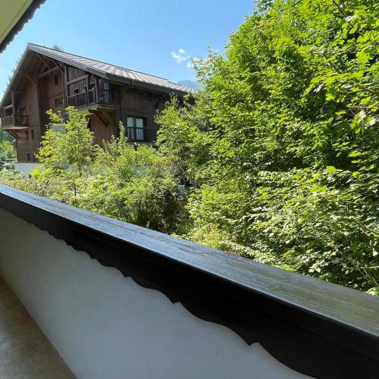 T3 calme à Samoëns avec Wifi et Parking - FR-1-629-45 - Appartement (4 Adultes) - 3