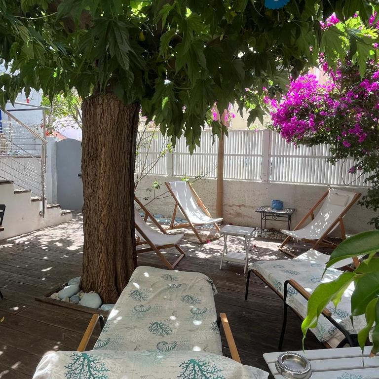 Les galets bleus de Calvi - Villa - 77