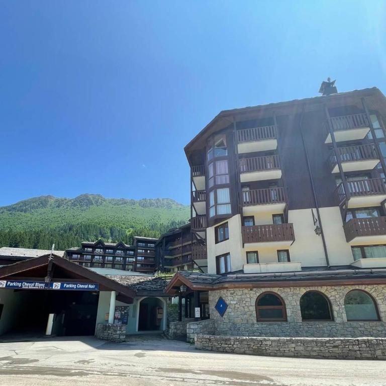 Appartement 2 pièces proche pistes avec balcon, animaux acceptés - FR-1-356-512 - Apartamento - 14