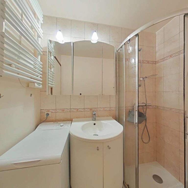 Studio confortable avec parking au Grand Bornand - FR-1-241-132 - Apartment (4 Erwachsene) - 11