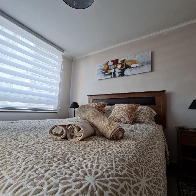 Departamentos Concepcion Centro - One-Bedroom Deluxe Apartment - 12