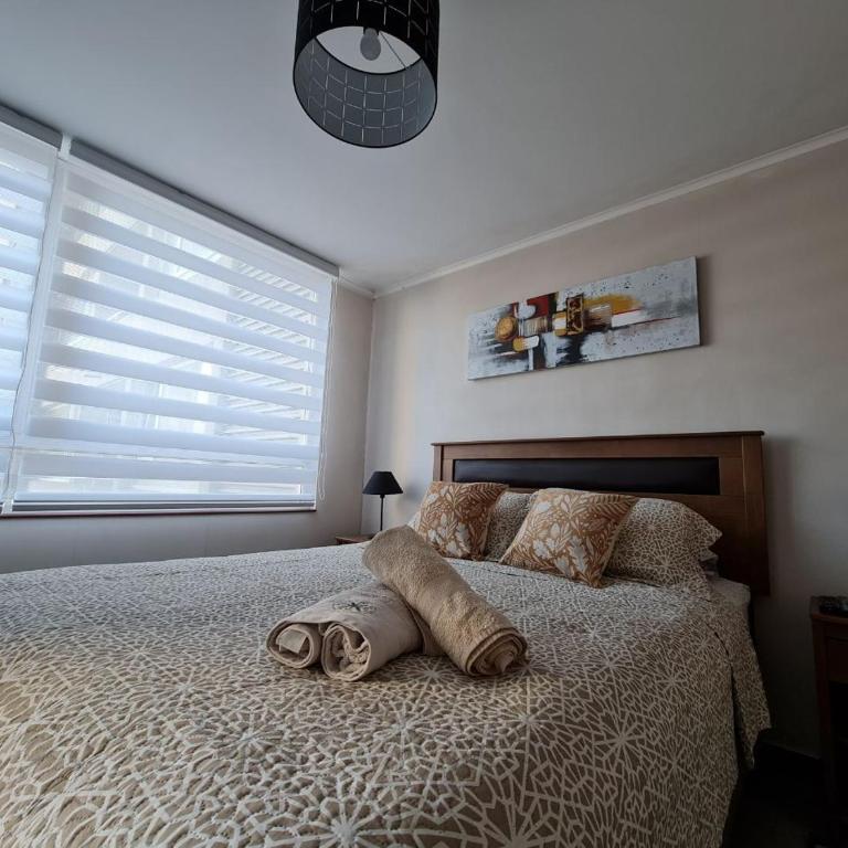 Departamentos Concepcion Centro - One-Bedroom Deluxe Apartment - 15