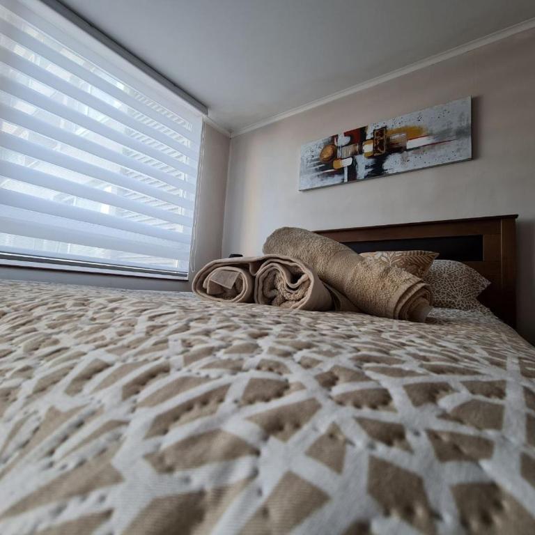Departamentos Concepcion Centro - One-Bedroom Deluxe Apartment - 16