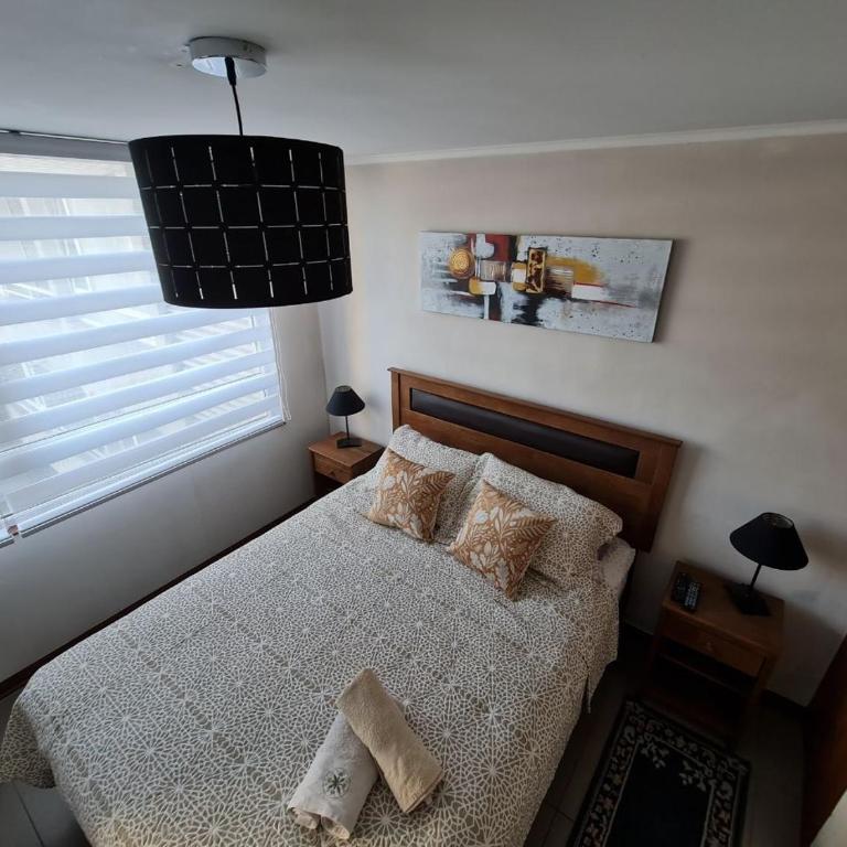 Departamentos Concepcion Centro - One-Bedroom Deluxe Apartment - 17