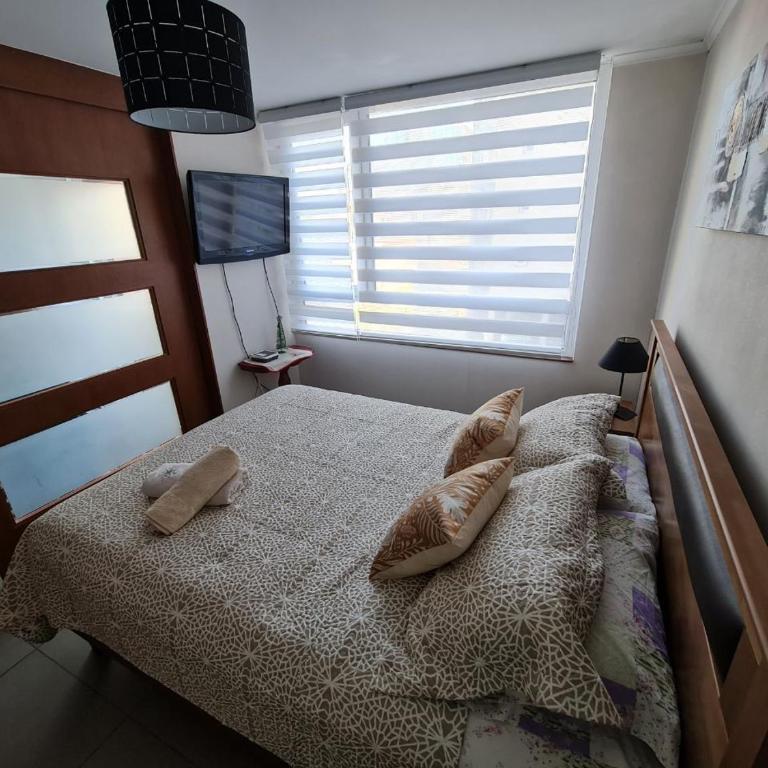 Departamentos Concepcion Centro - One-Bedroom Deluxe Apartment - 18