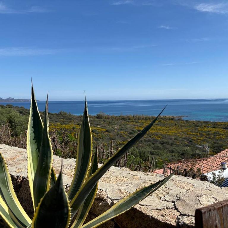 AffittaSardegna- Casa Costa - Appartamento con 1 Camera da Letto - 1